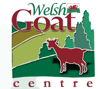 Welshgoat